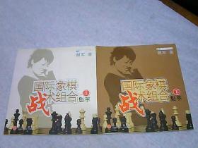 国际象棋战术组合集萃 上下 一共两本9787508609980