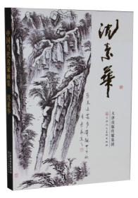 中国当代名家画集：沈素华