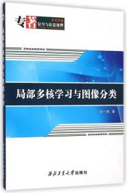 学术专著信号与信息处理：局部多核学习与图像分类