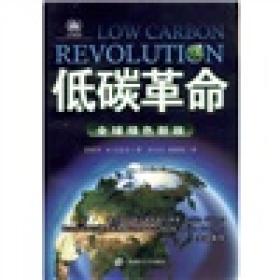 低碳革命：全球绿色新政（引进版）