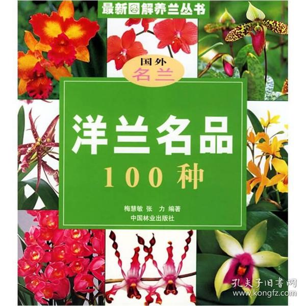 洋兰名品100种