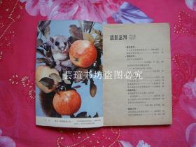 摄影丛刊5（上海人民美术出版社1980年版，94页正文，20页照片插页，个人藏书，无章无字，品好）