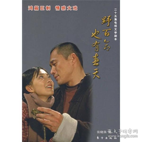 野百合也有春天（25集电视文学剧本）