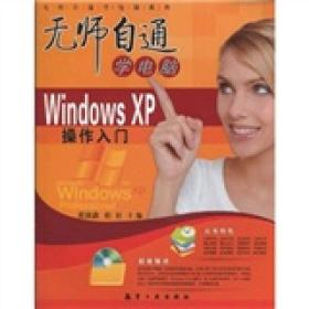 无师自通学电脑系列：Windows XP操作入门