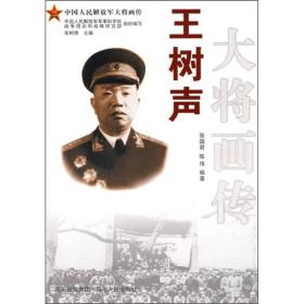 王树声大将画传