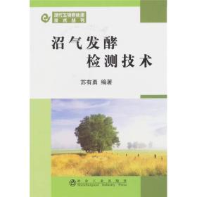 沼气发酵检测技术：现代生物质能源技术丛书