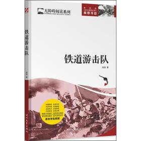 铁道游击队/无障碍阅读系列