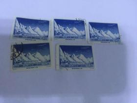 老纪特 特14邮票（5张合售）