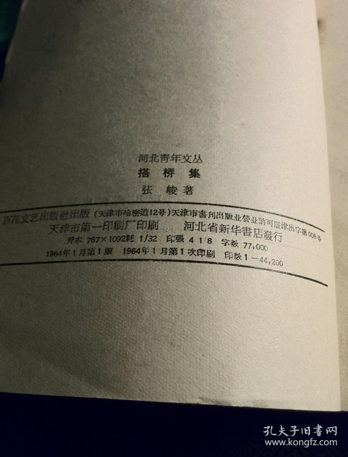 搭桥集（百花文艺出版社）（馆藏