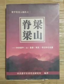 梁山脊梁(梁平县委特支书记传记)