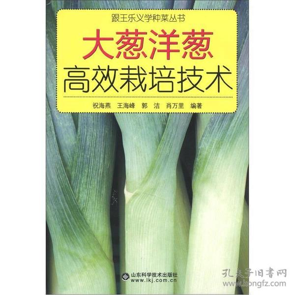 跟王乐义学种菜丛书：大葱洋葱高效栽培技术