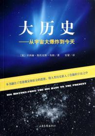 大历史：从宇宙大爆炸到今天