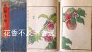 虫类画谱   彩色木版画   22图  森本东阁/艺草堂/1910年