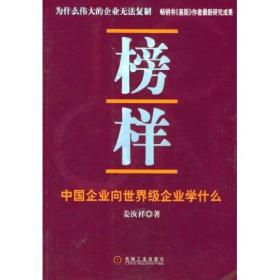 榜样：中国企业向世界级企业学什么