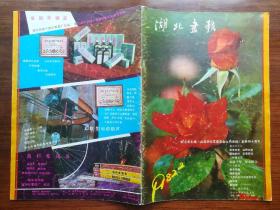 《湖北画报》1982年2期（双月刊）
