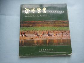 婺源鸳鸯：叶学龄摄影作品选