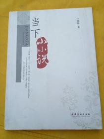 当下小说家