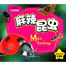 麻辣昆虫