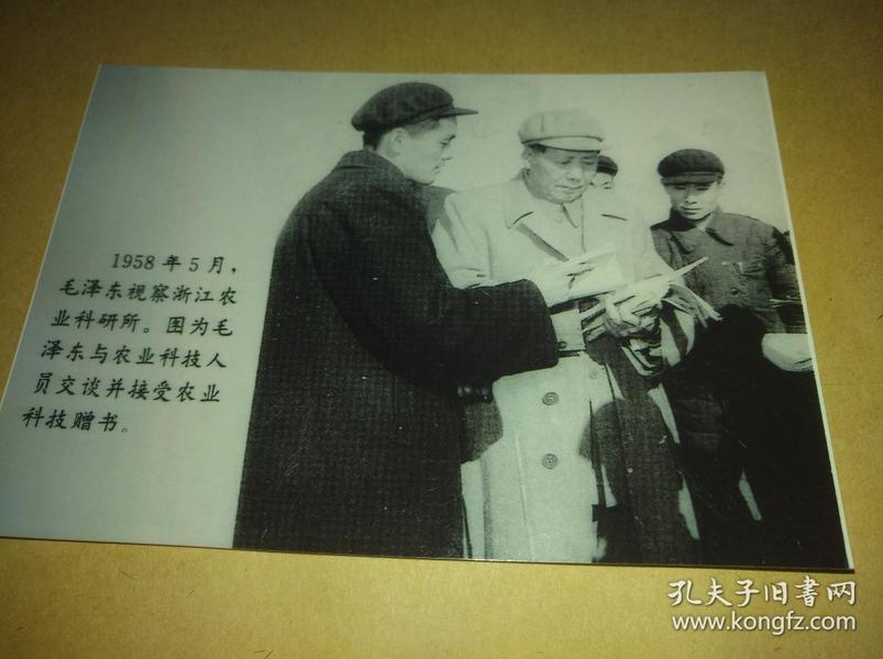 1958年5月毛泽东视察浙江省农业科学研究所照片【黑白4寸】特别少见