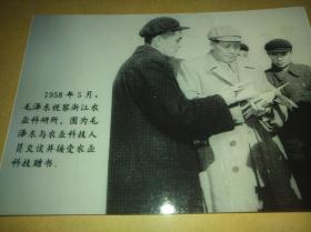1958年5月毛泽东视察浙江省农业科学研究所照片【黑白4寸】特别少见