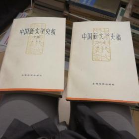 中国新文学史（上下两册全)