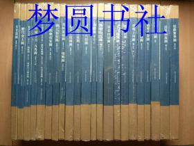 翰墨丹青：中国古代绘画精品图录（第一辑22册全）