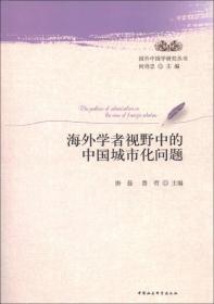 国外中国学研究丛书：海外学者视野中的中国城市化问题