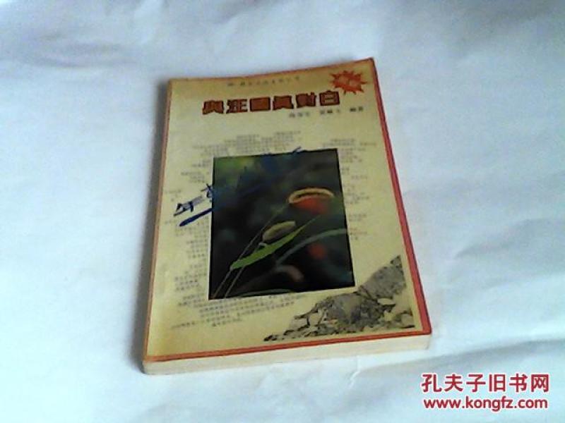 年轻的潇洒:与汪国真对白