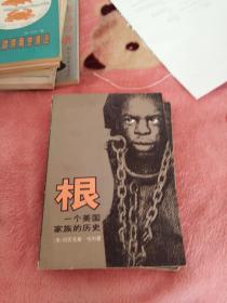 根一个美国家族的历史上下册
