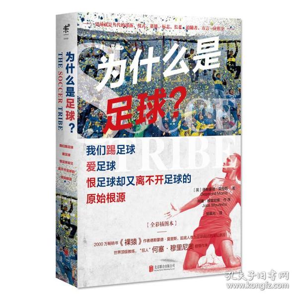 为什么是足球？我们踢足球、爱足球、恨足球却又离不开足球的原始根源