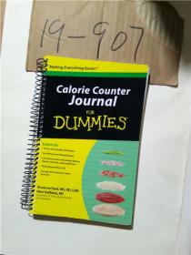 正版现货；CALORIE COUNTER JOURNAL FOR DUMMIES