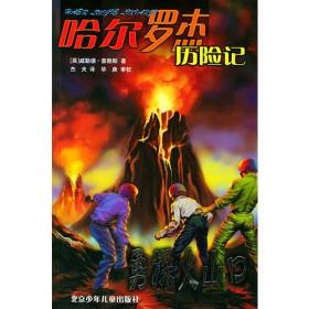 勇探火山口：哈尔罗杰历险记