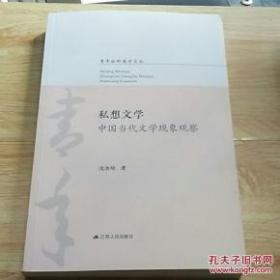 私想文学中国当代文学现象观察