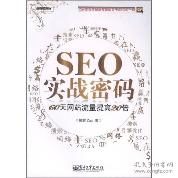 SEO实战密码：60天网站流量提高20倍