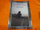 日中共同尼雅遗迹 出土文物展 （日文原版，介绍丝绸之路上尼雅遗迹的出土文物）