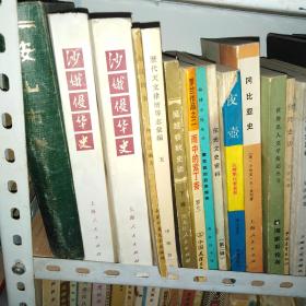 夜壶-台湾黑社会真相87年1版1印近85品*5011
