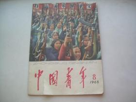 中国青年1965年第8期