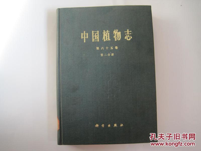 中国植物志 第六十五卷 第二分册 被子植物门双子叶植物纲唇形科(一)