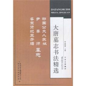 大唐墓志书法精选[ 鄂国公夫人苏斌、尹尊师、睿宗贤妃王芳媚墓志]