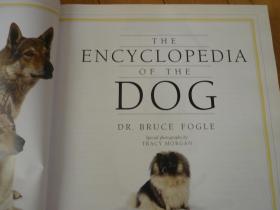 The ENCYCLOPEDIA of the DOG  英文版 狗百科全书