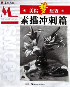 美院梦想秀：素描冲刺篇