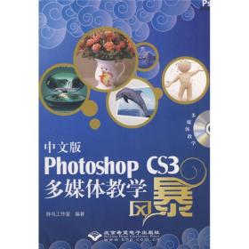 中文版Photoshop CS3多媒体教学风暴