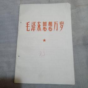 毛泽东思想万岁（1928～1933）