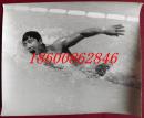 1978年体育摄影作品展新闻展览照片--游泳运动员