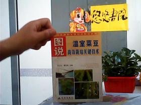 图说温室菜豆高效栽培关键技术