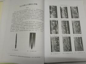 浙江省文物考古研究所学刊 第九辑 纪念浙江省文物考古研究所成立三十周年论文集 （包邮）