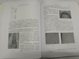 浙江省文物考古研究所学刊 第九辑 纪念浙江省文物考古研究所成立三十周年论文集 （包邮）