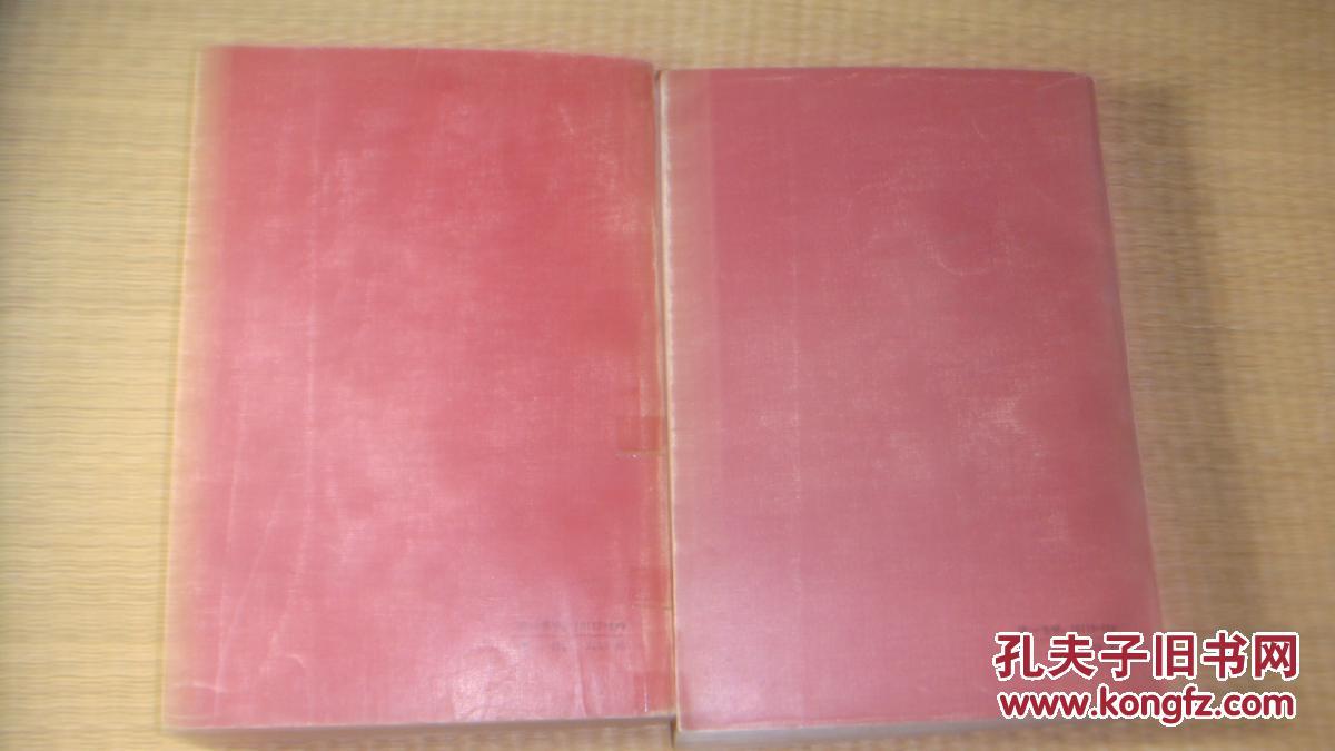 巴黎的秘密上下册