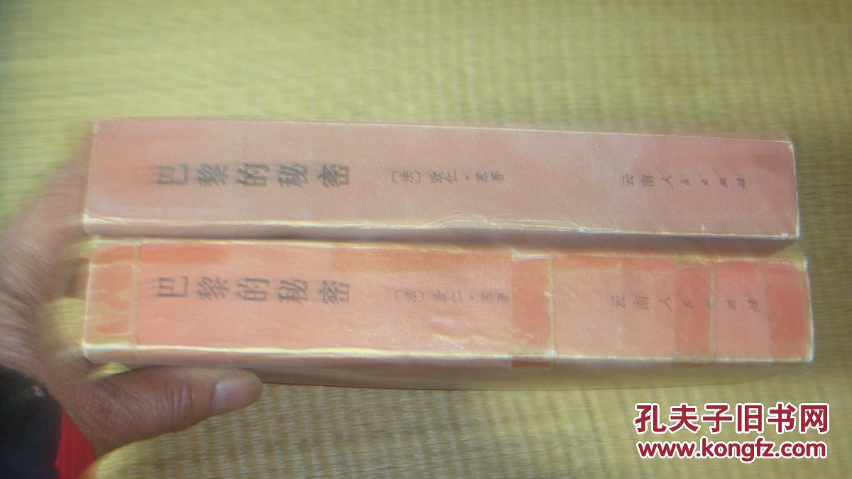 巴黎的秘密上下册