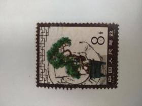 T61盘景6-2信销邮票1枚